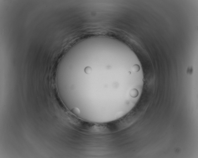 X0000093230270200709261515