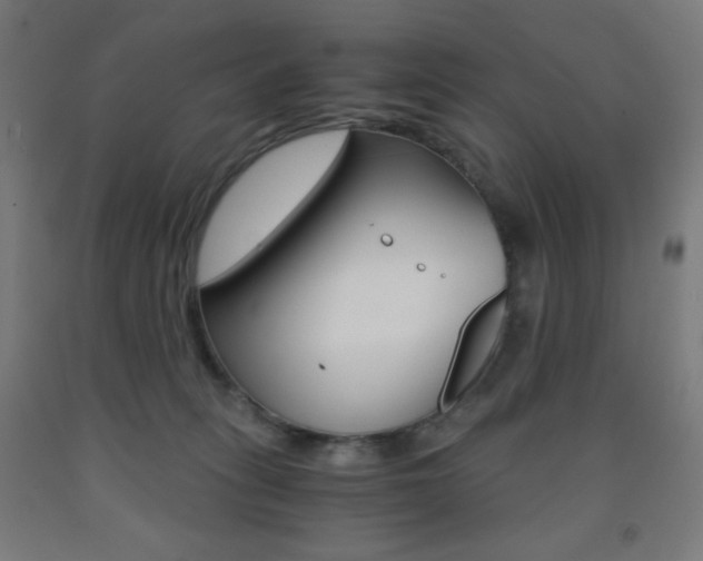 X0000093230275200709261515