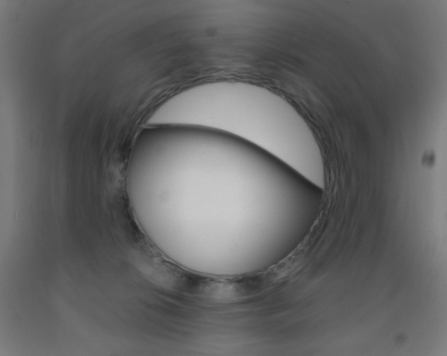 X0000093230276200709261515