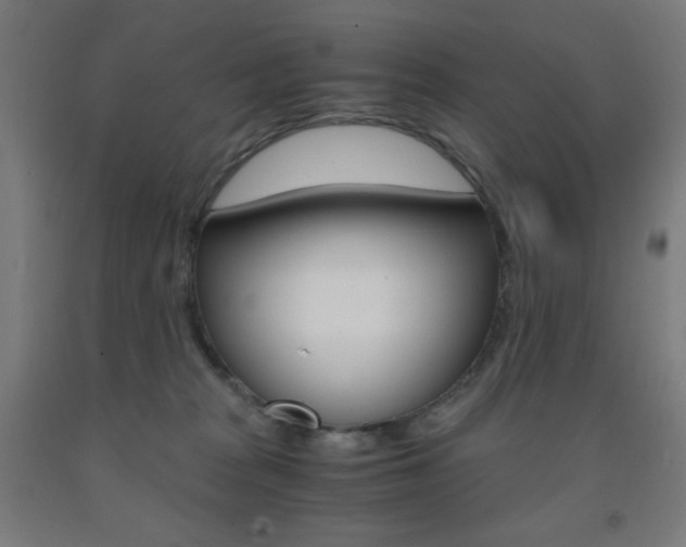 X0000093230277200709261515