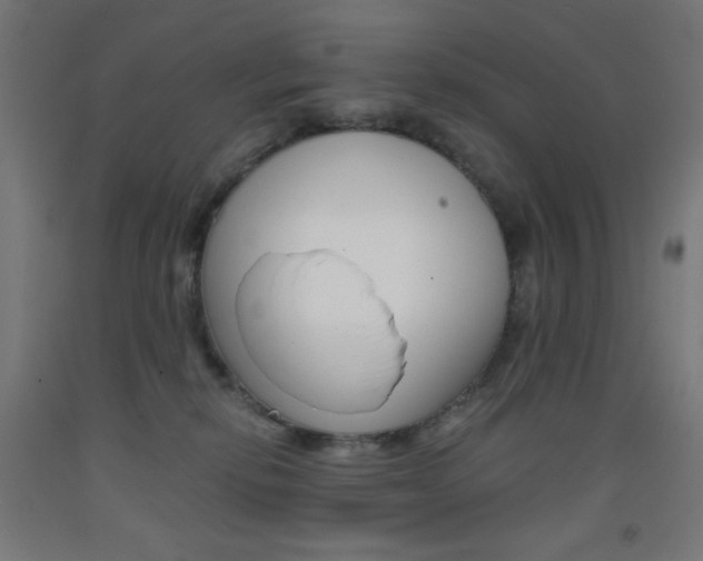 X0000093230278200709261515