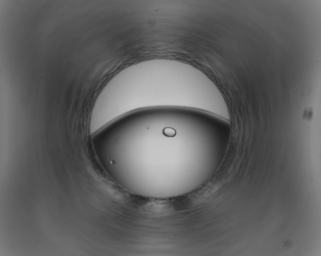X0000093230280200709261516