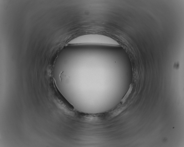 X0000093230284200709261516