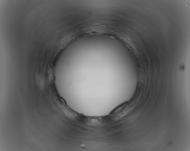 X0000093230285200709261516
