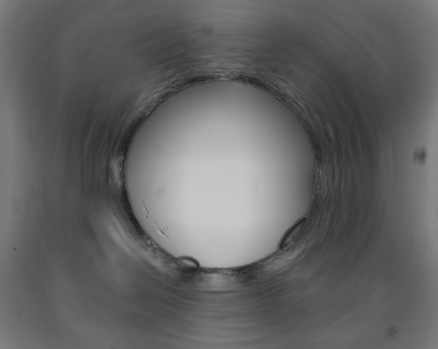 X0000093230286200709261516