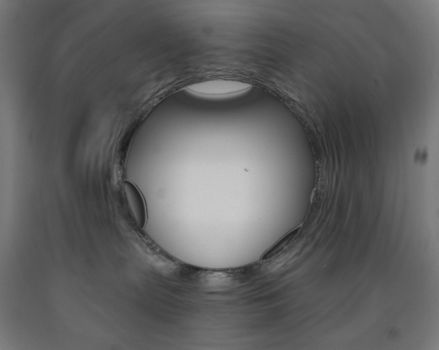 X0000093230287200709261516