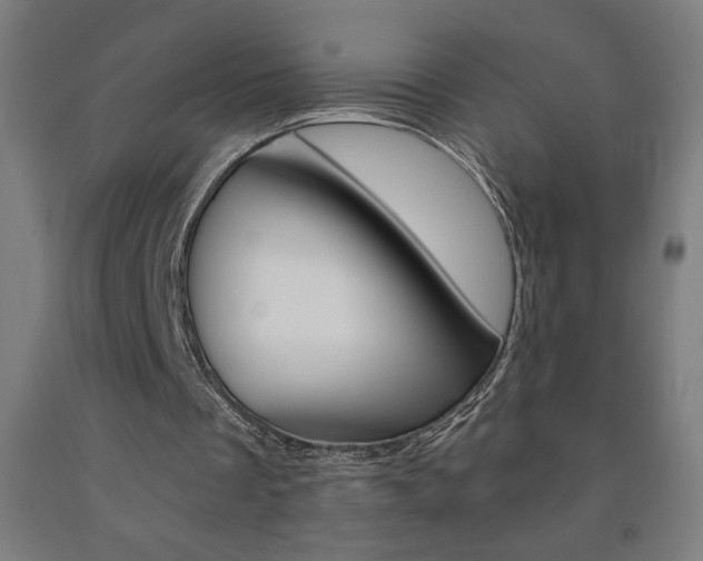 X0000093230289200709261515