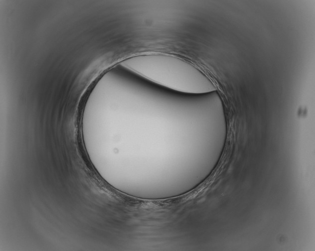 X0000093230290200709261515
