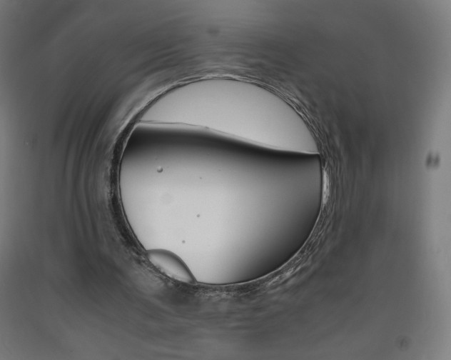 X0000093230291200709261515