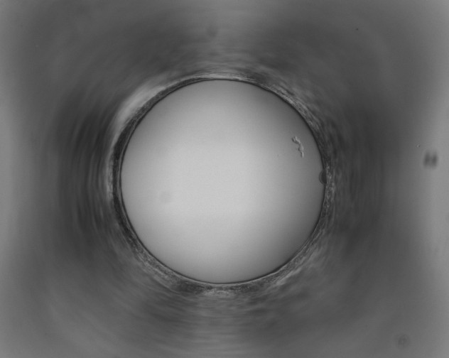 X0000093230294200709261515