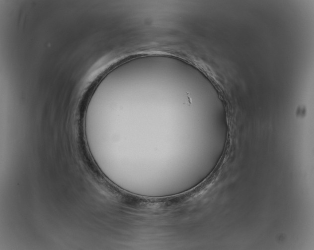 X0000093230295200709261515