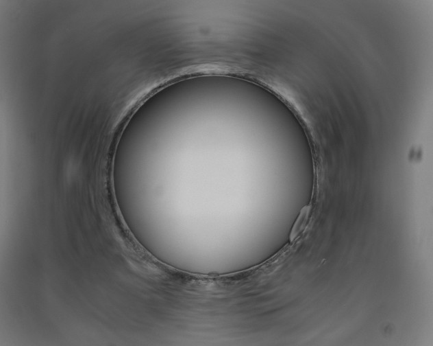 X0000093230297200709261515