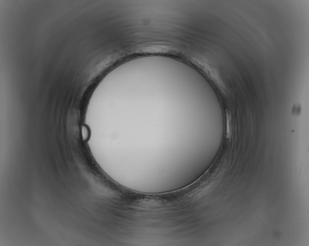 X0000093230300200709261515
