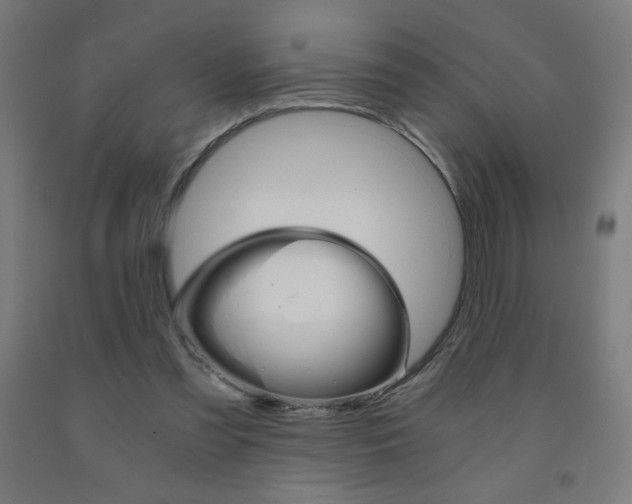 X0000093230301200709261515