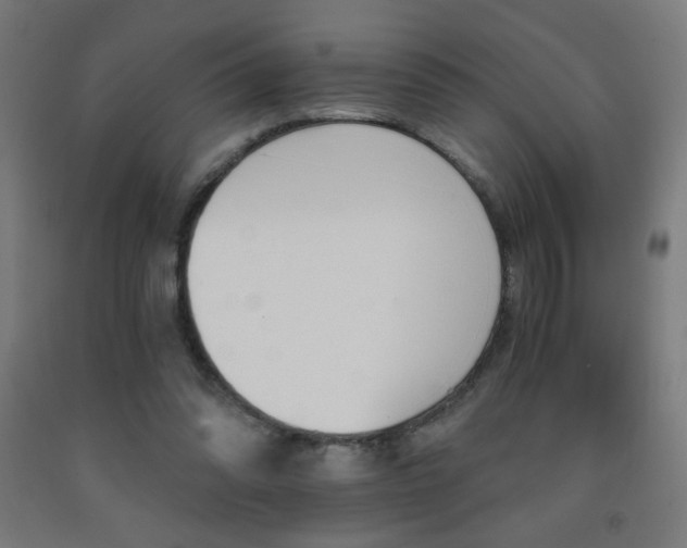 X0000093230302200709261515