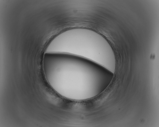 X0000093230303200709261515