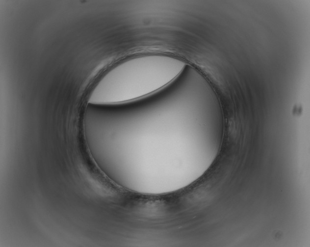 X0000093230304200709261515