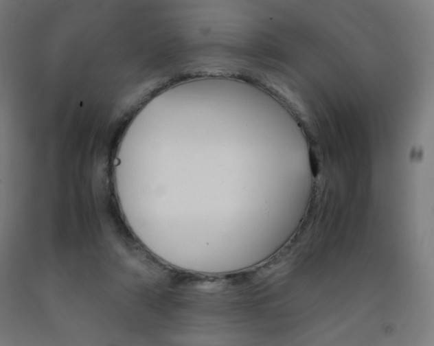 X0000093230306200709261515