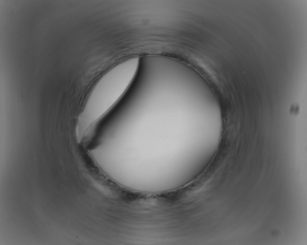 X0000093230307200709261515