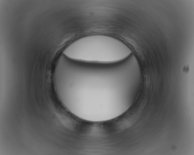 X0000093230308200709261515