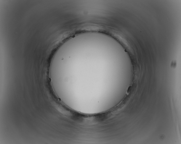 X0000093230309200709261515