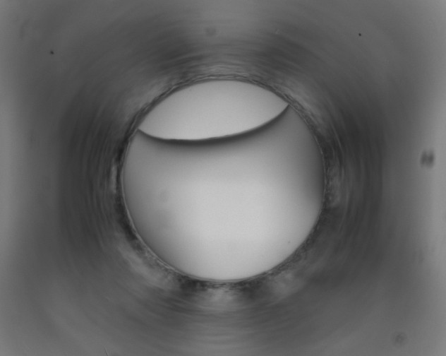X0000093230310200709261515