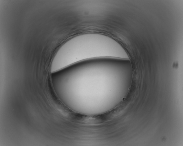 X0000093230315200709261515