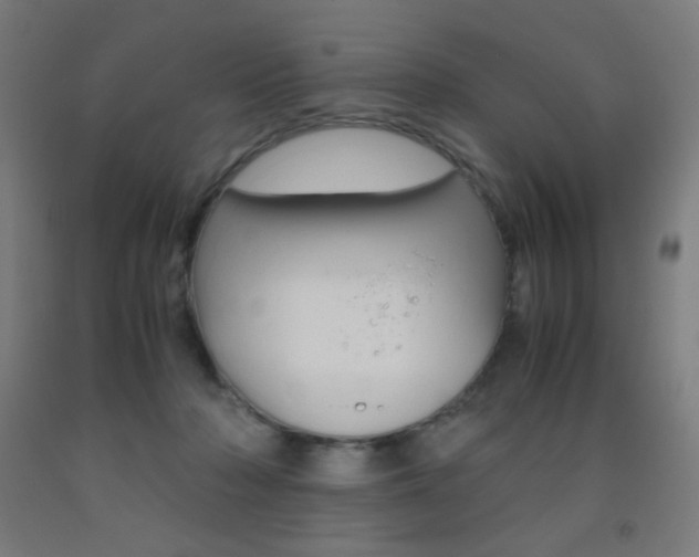 X0000093230318200709261515