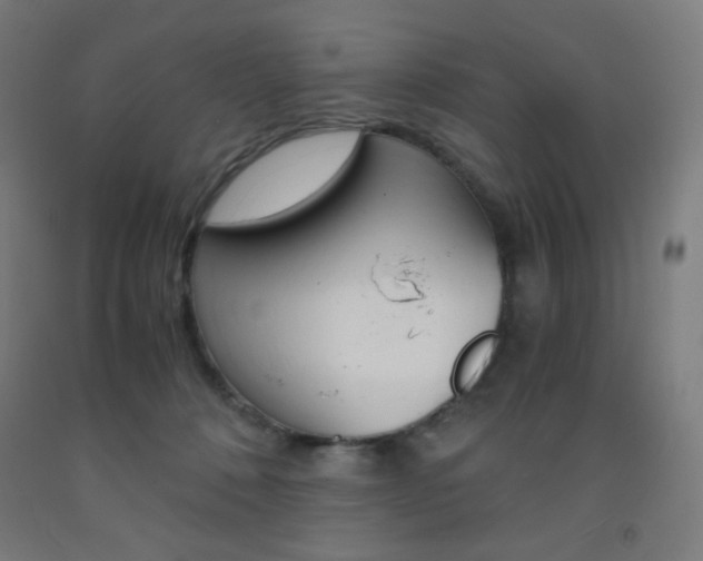 X0000093230320200709261515