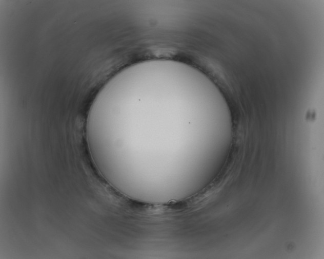 X0000093230321200709261515