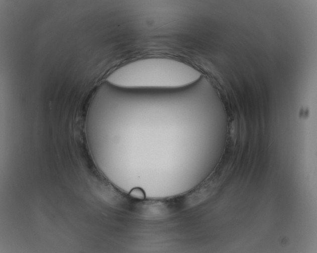 X0000093230322200709261515