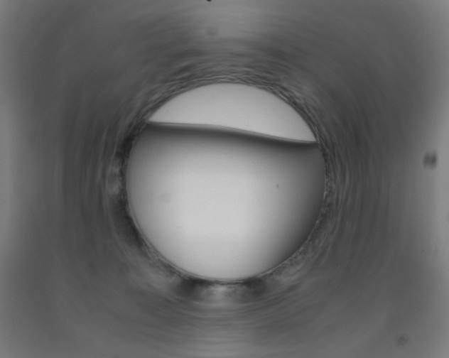X0000093230323200709261515