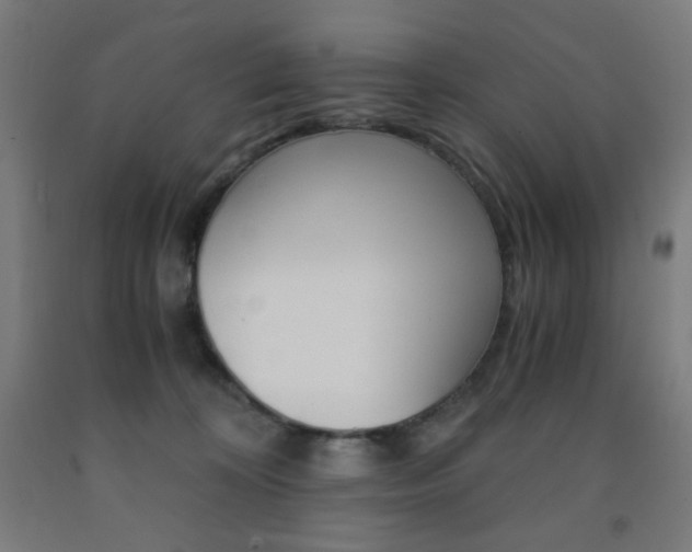 X0000093230324200709261515