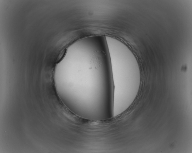 X0000093230325200709261515