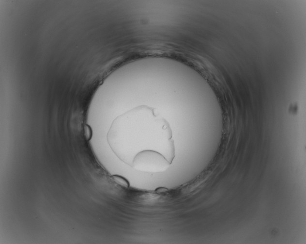 X0000093230326200709261515