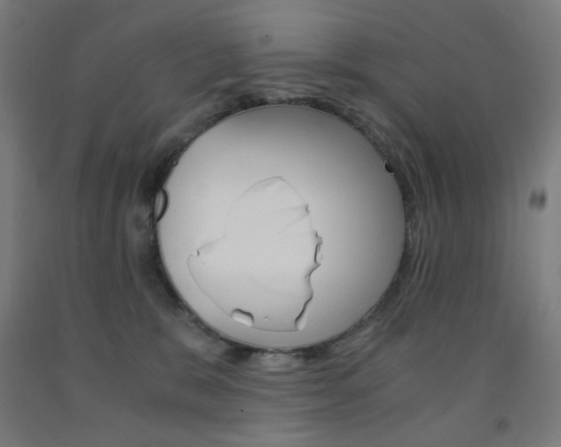 X0000093230327200709261515
