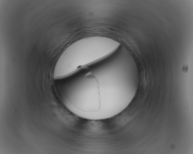 X0000093230328200709261515