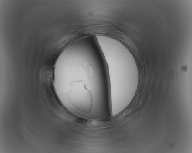 X0000093230329200709261515