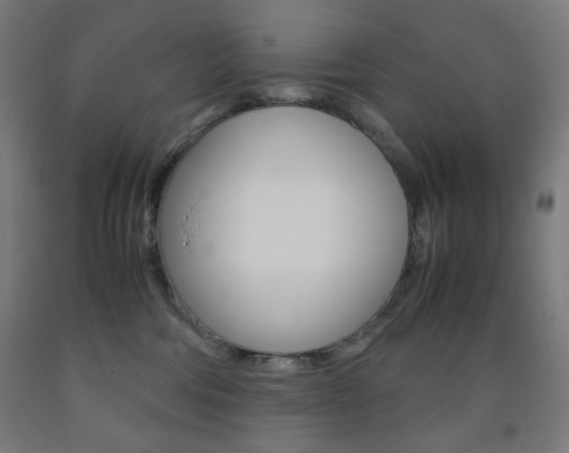 X0000093230330200709261514
