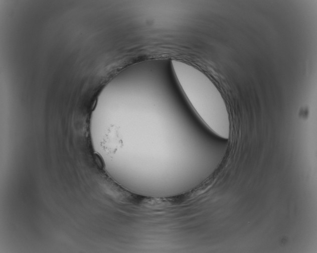 X0000093230331200709261514