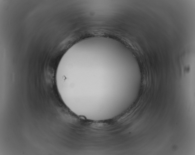 X0000093230332200709261514