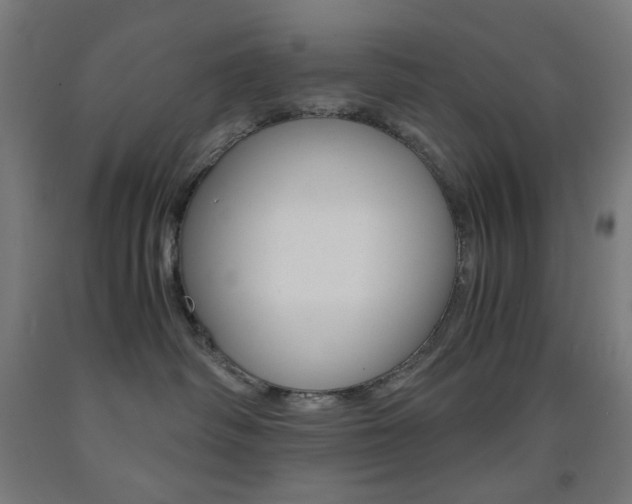 X0000093230334200709261514