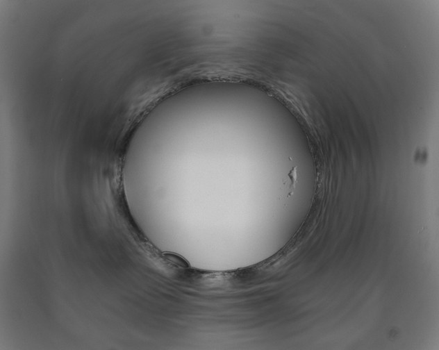 X0000093230335200709261514