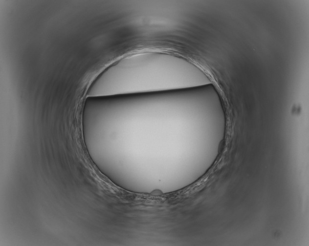 X0000093230337200709261514