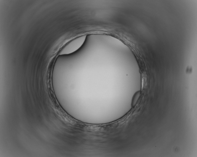 X0000093230339200709261514