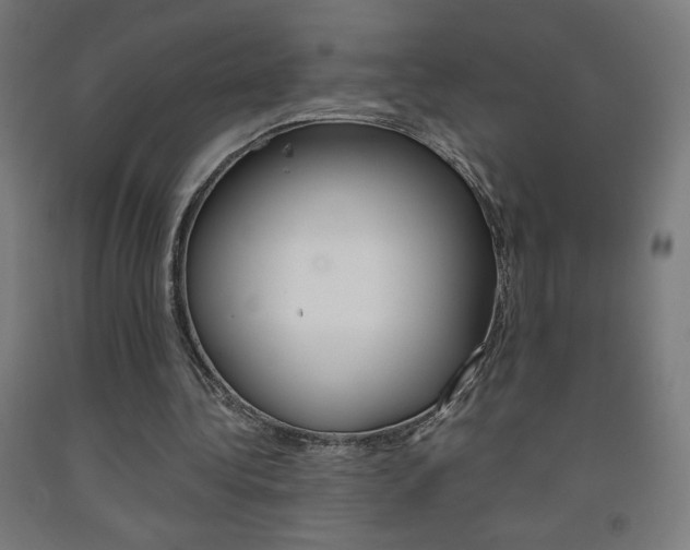 X0000093230340200709261514