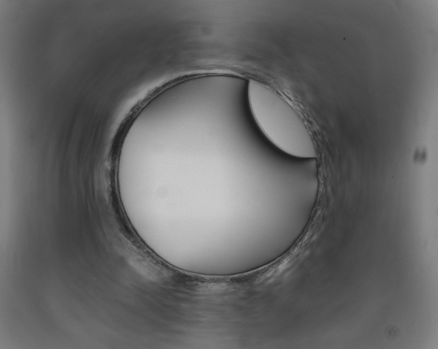 X0000093230342200709261514