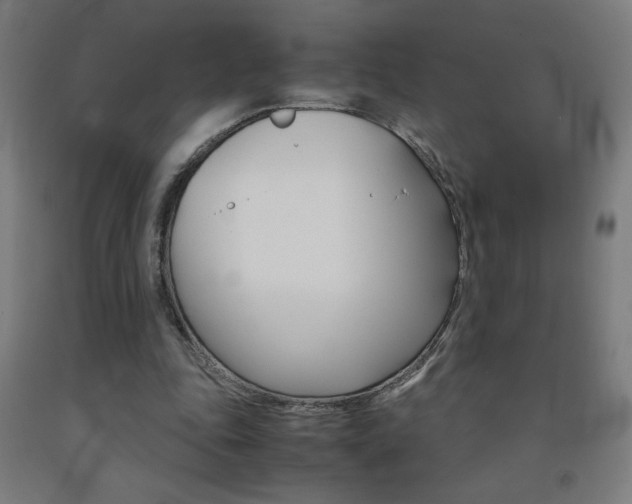 X0000093230343200709261514