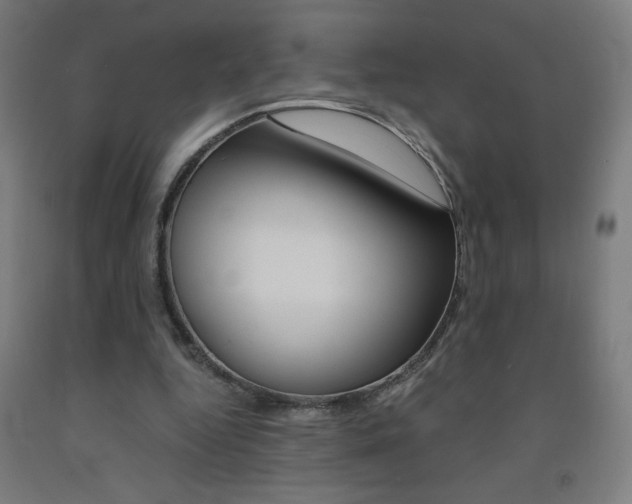 X0000093230344200709261514