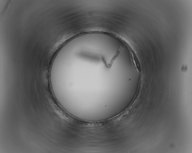X0000093230345200709261514